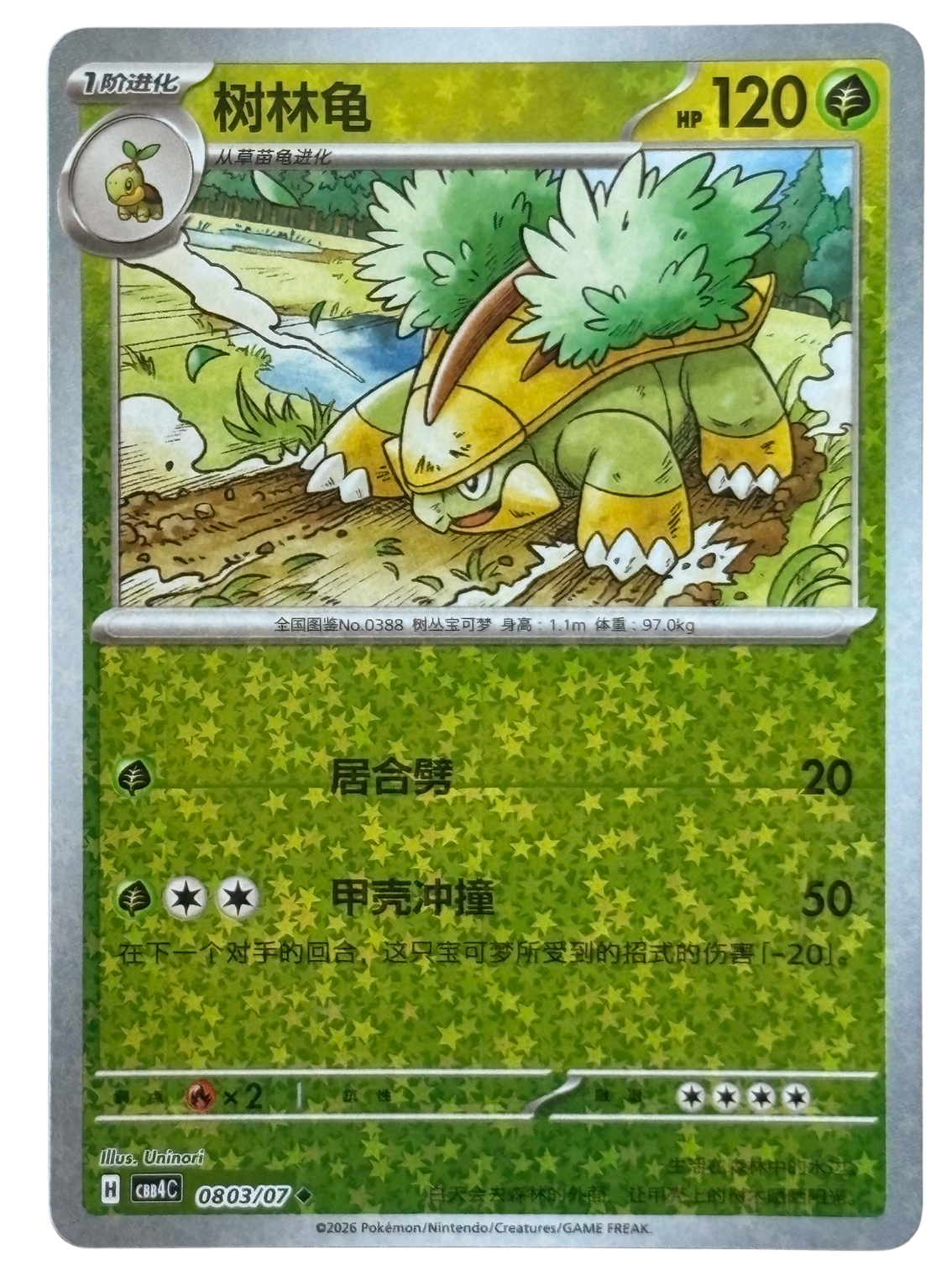 Grotle 803/07 CN (2026) [Near Mint]