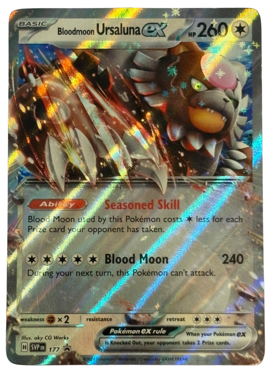 Bloodmoon Ursaluna ex Black Star Promos (2024) [Near Mint]
