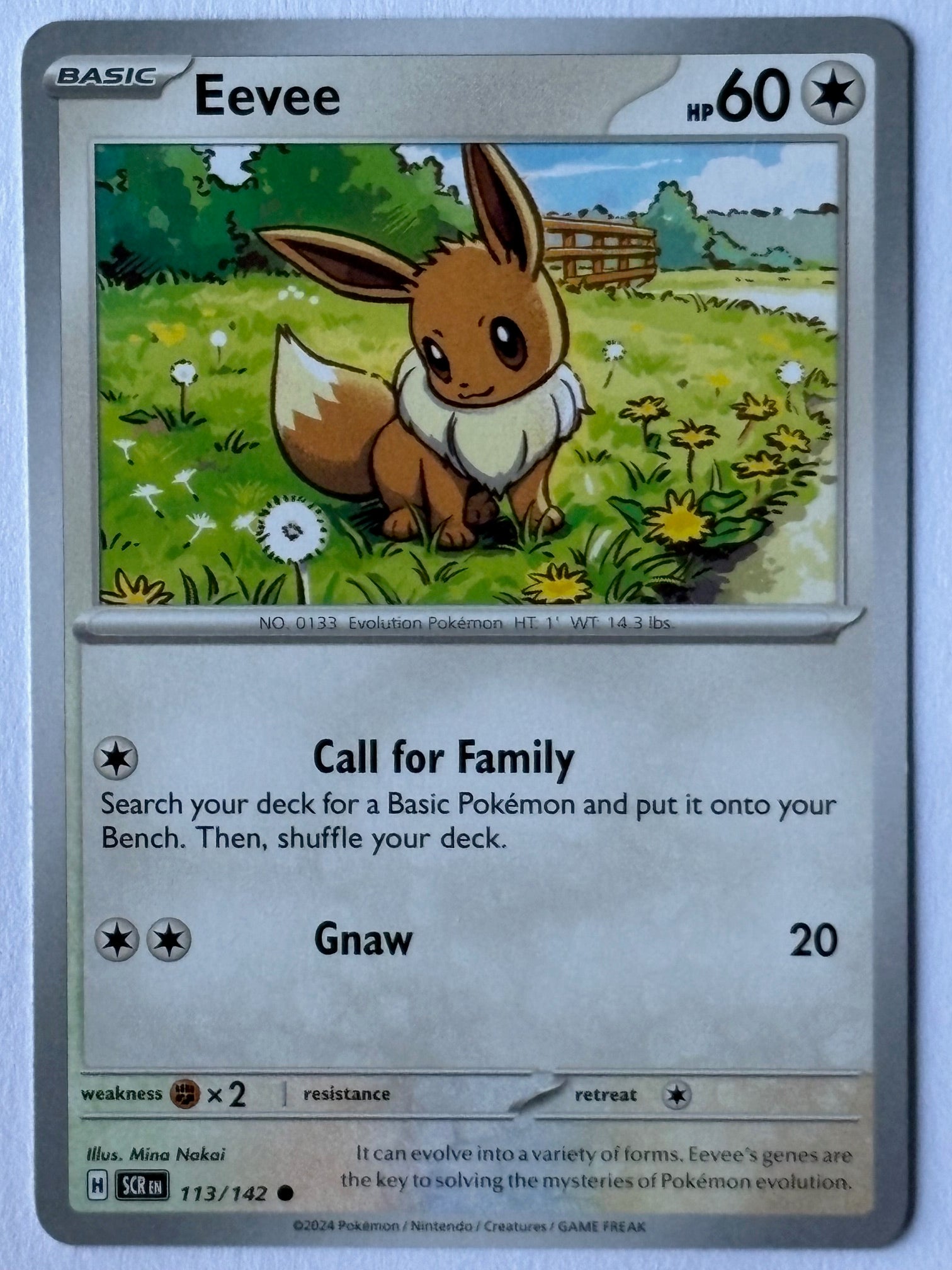 Eevee – 113/142 SCR (Scarlet & Violet – Stellar Crown)