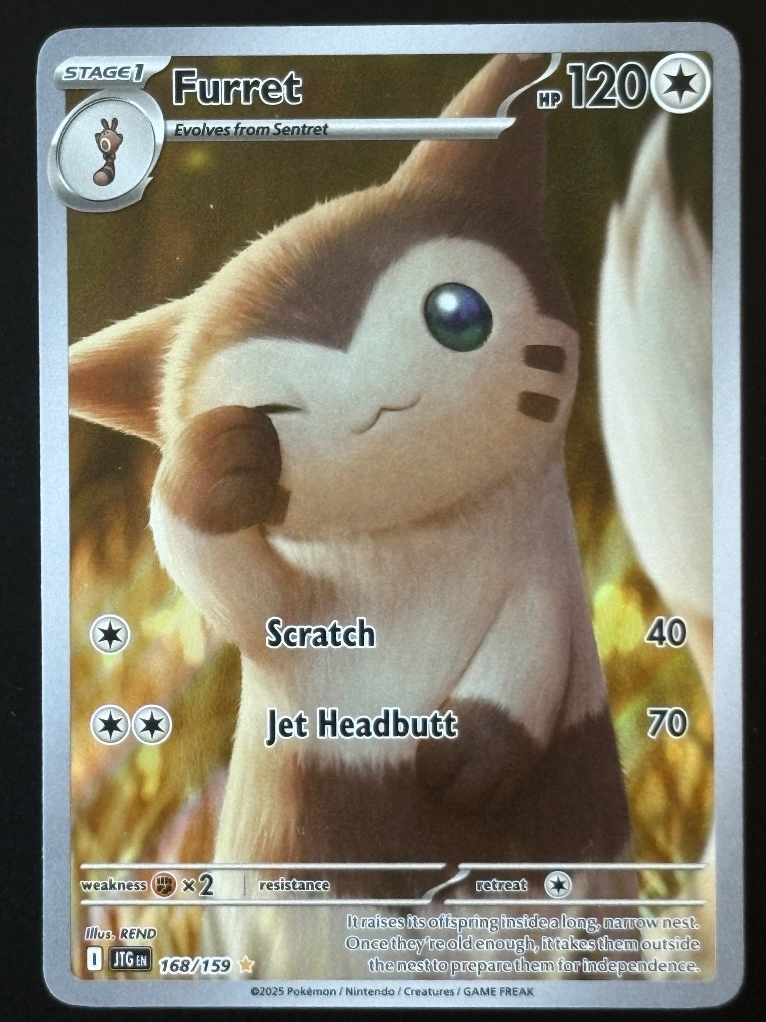 Furret – Pokemon 2025 Journey Together EN 168/159 Illustration Rare