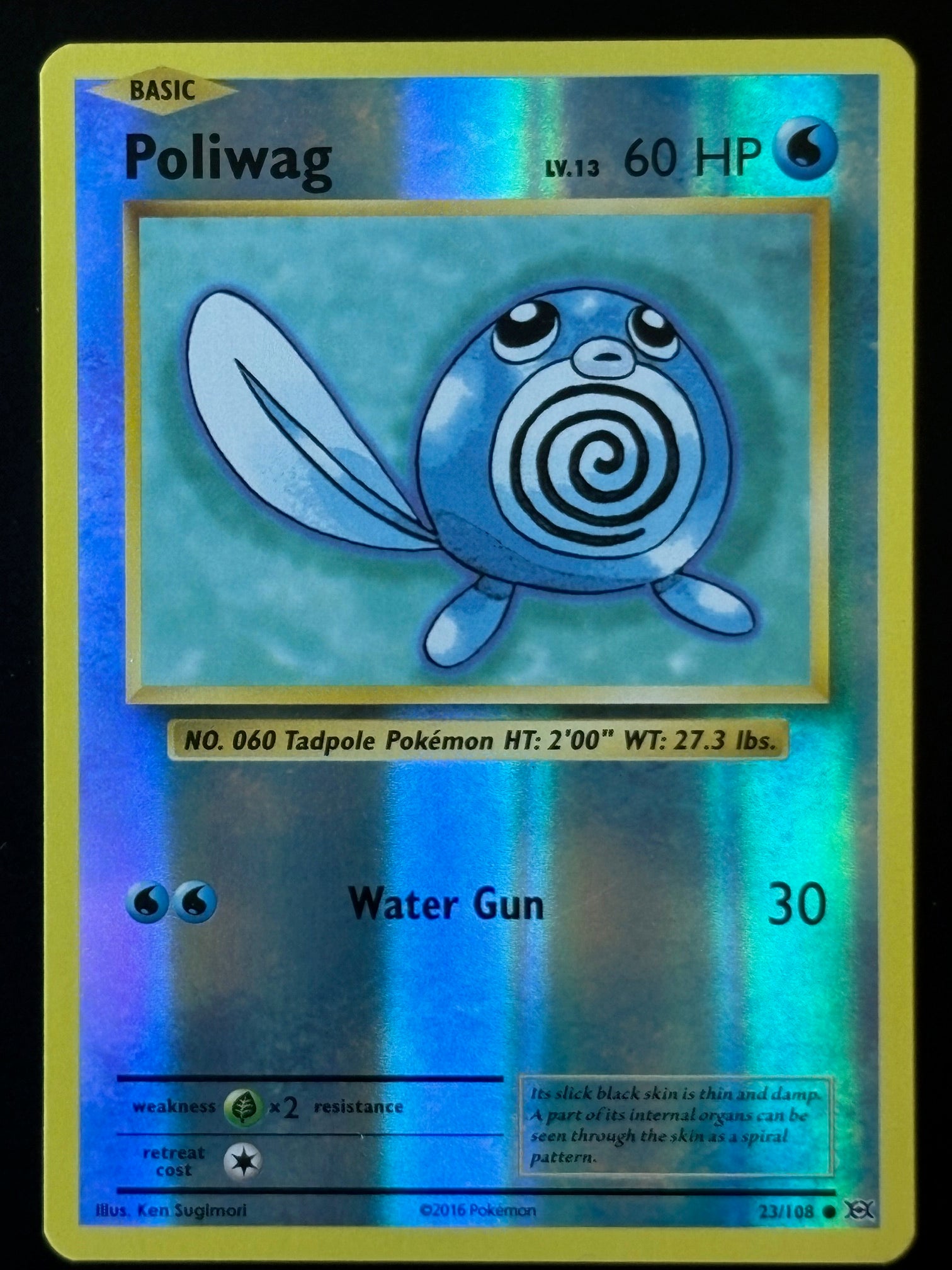 Poliwag – Pokemon 2016 XY EN 23/108 Reverse Holo