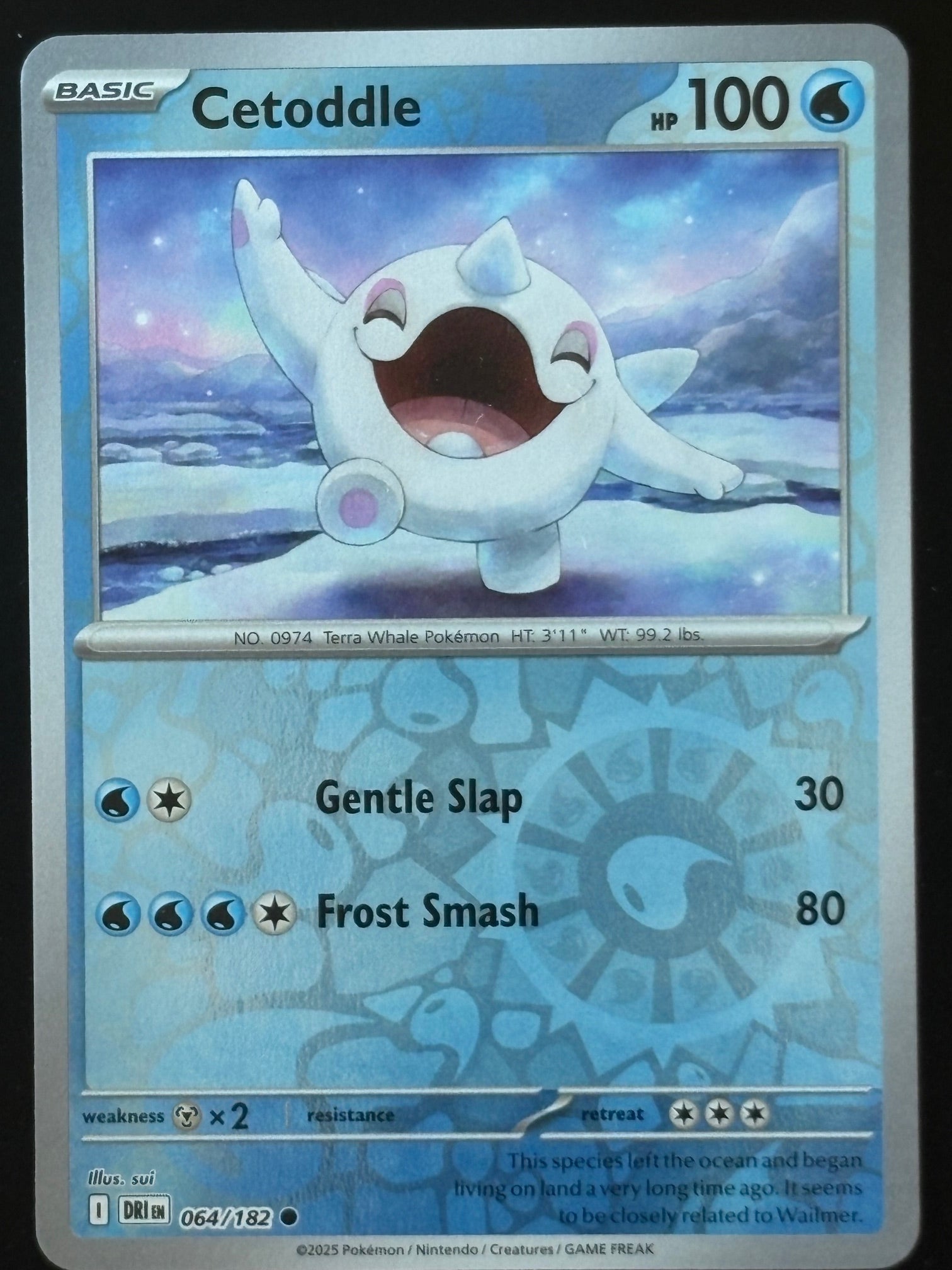 Cetoddle – Pokemon 2025 Destined Rivals EN 064/182 Reverse Holo