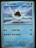 Cetoddle – Pokemon 2025 Destined Rivals EN 064/182 Common