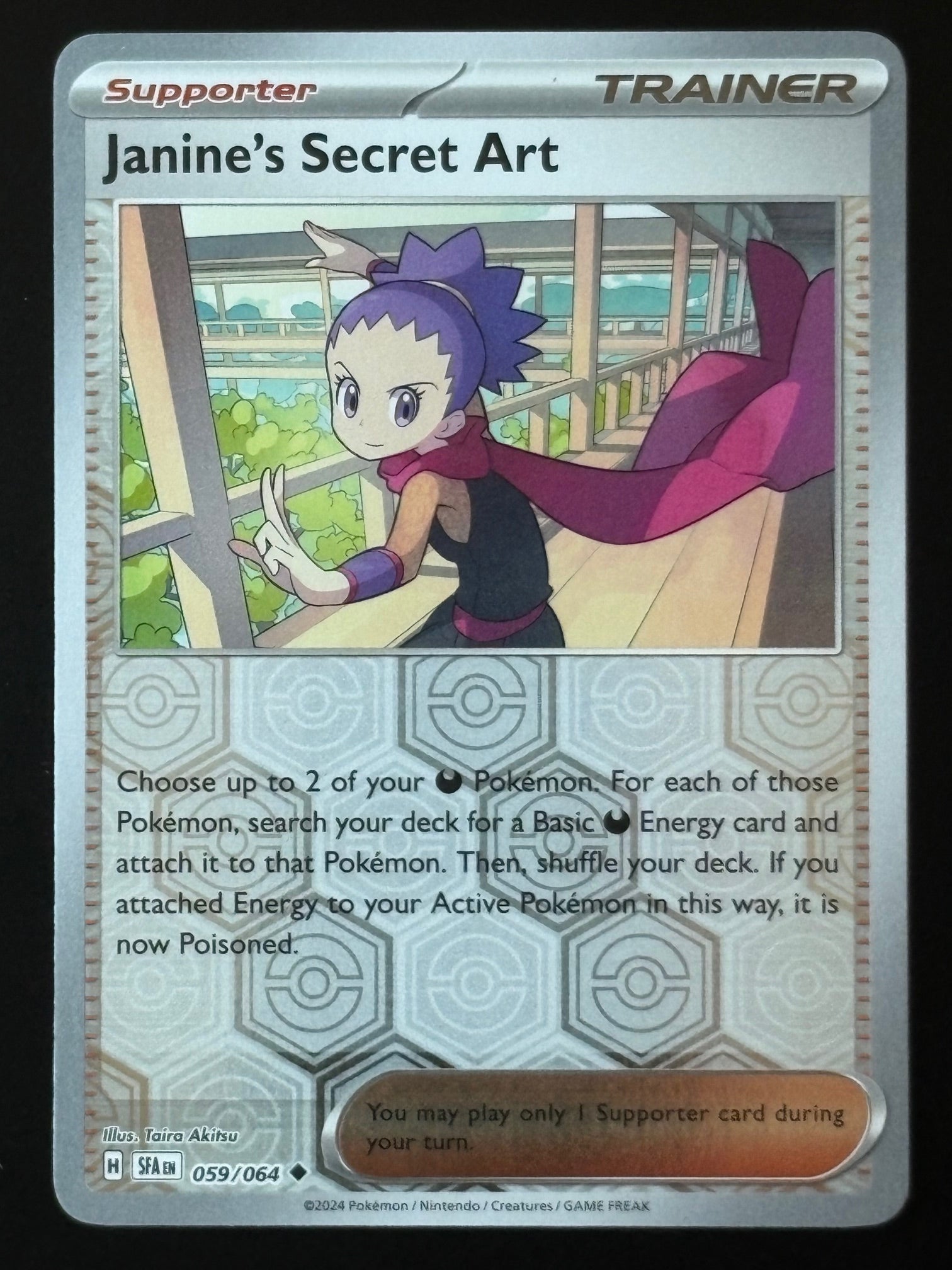 Janine's Secret Art – 059/064 SFA
