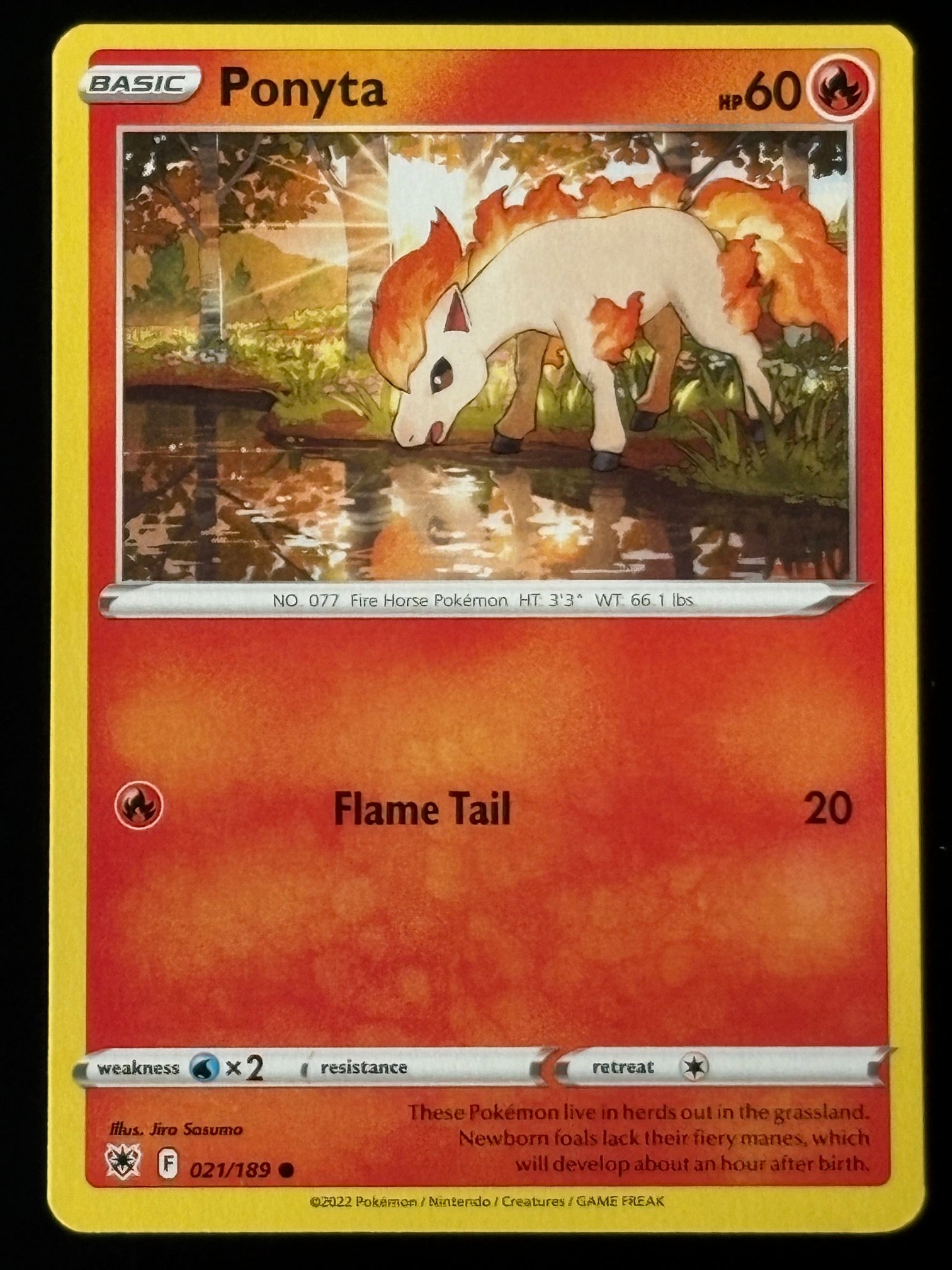 Ponyta 019/142 – Pokémon 2024 Scarlet Crown EN