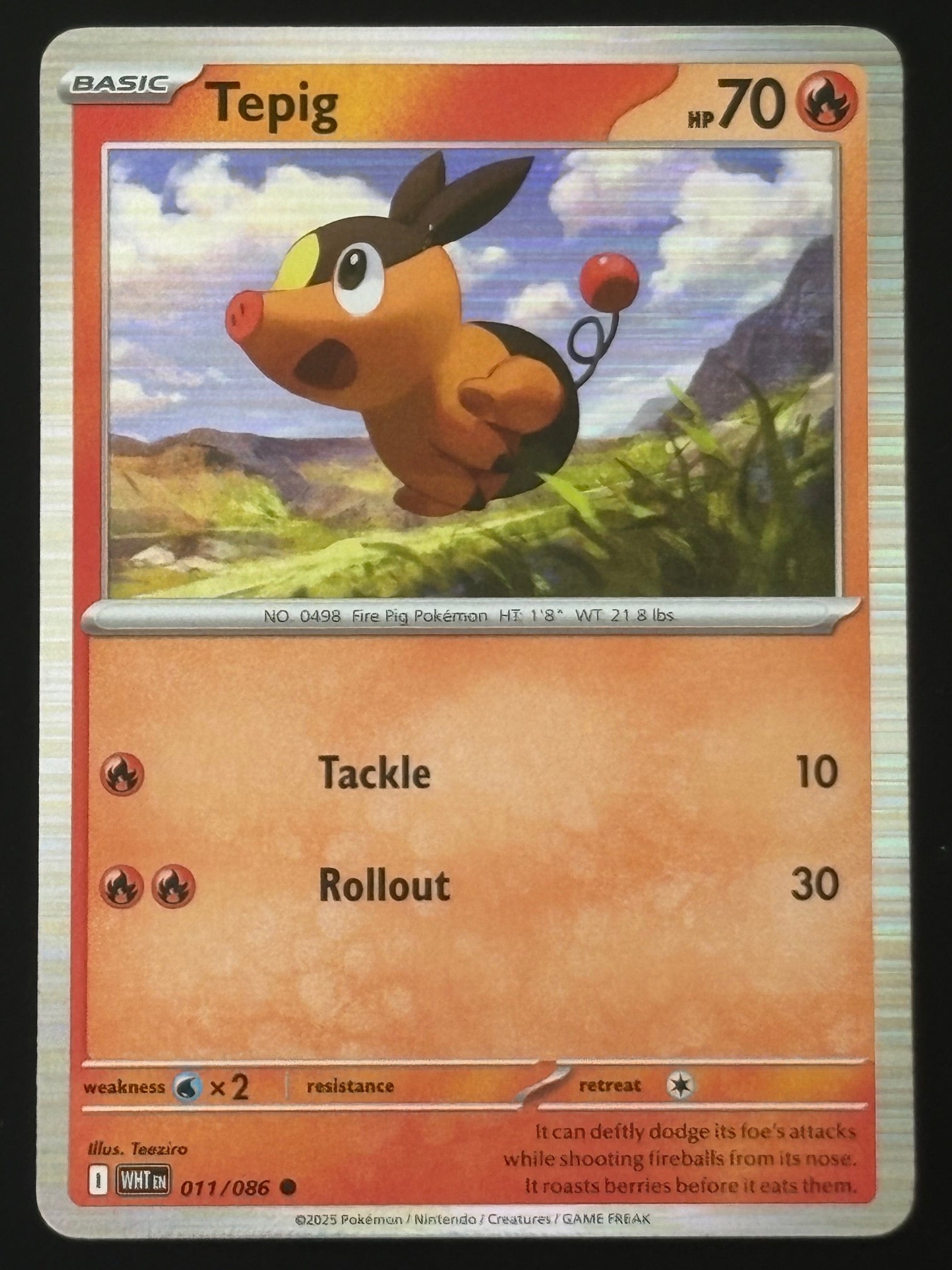 Tepig 011/086 – Pokémon 2025 WHT EN