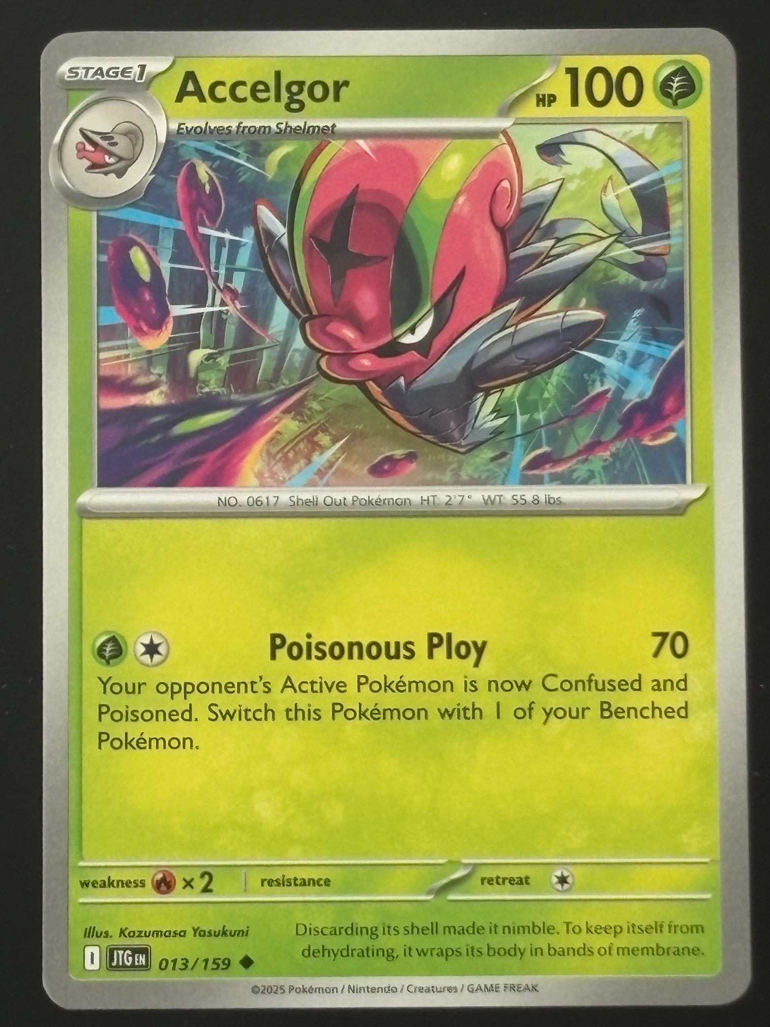 Accelgor 013/159 – Pokémon 2025 JTG EN