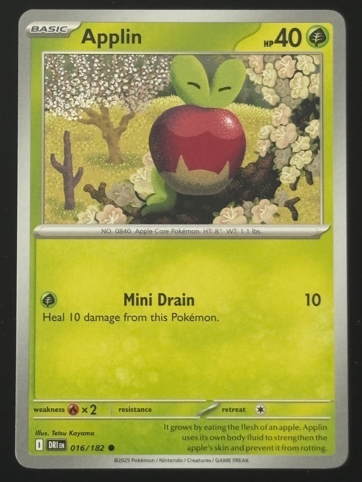 Applin 016/182 – Pokémon 2025 DRI EN