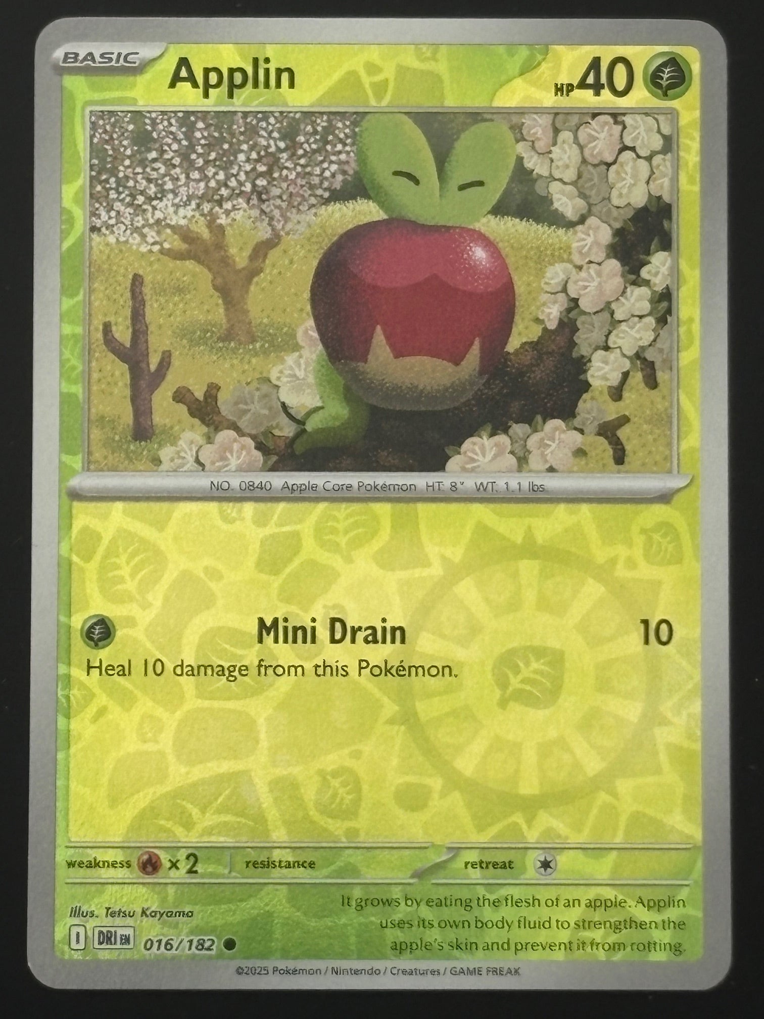 Applin 016/182 – Pokémon 2025 DRI EN (Holo)